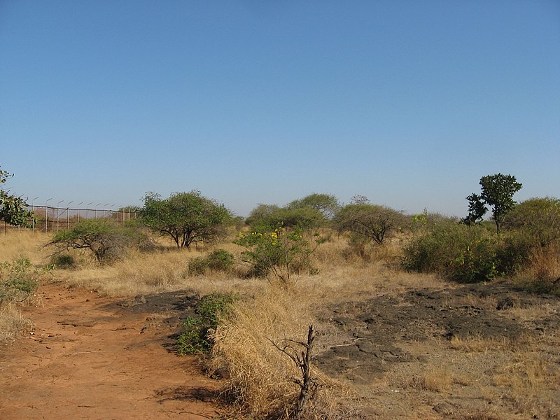 File:Neelgai habitat gir 2006 karthick.jpg