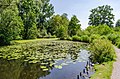 * Nomination Lake “Großer De Wittsee” in Nettetal --Carschten 09:28, 16 July 2020 (UTC) * Promotion  Support Good quality. --Aristeas 16:47, 17 July 2020 (UTC)