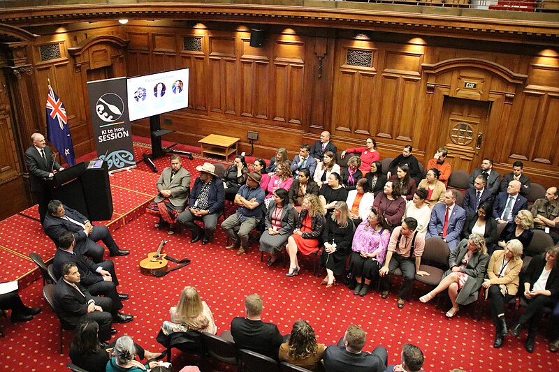 File:New MPs sitting in Legislative Council chamber 53rd Parliament of New Zealand.jpg