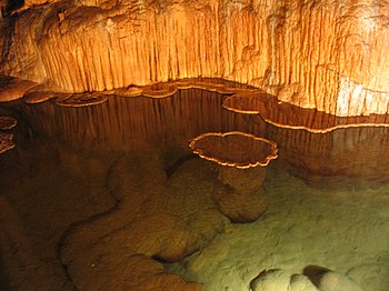 The "lily pad room" in Onondaga Cave...