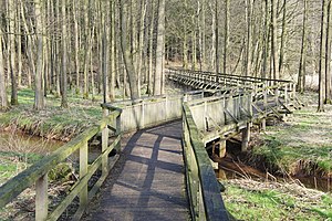 Ocean bridge