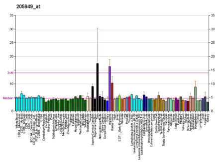 PBB GE CA1 205949 at fs.png