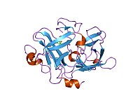 PDB 1fv9 EBI.jpg