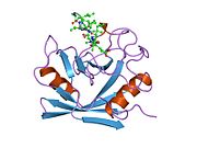 PDB 1mik EBI.jpg