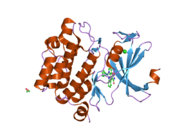 2bzh: CRYSTAL STRUCTURE OF THE HUMAN PIM1 IN COMPLEX WITH A RUTHENIUM ORGANOMETALLIC LIGAND RU1