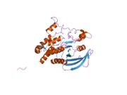 2nz6: Crystal structure of the PTPRJ inactivating mutant C1239S