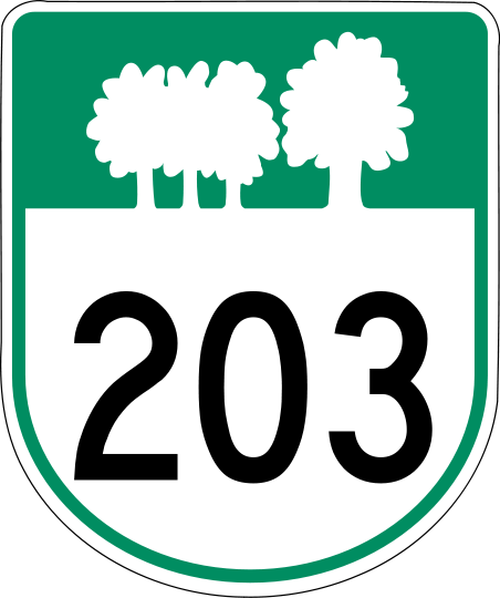 File:PEI Highway 203.svg