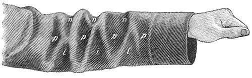PSM V27 D817 Folds of the inner side of a coat sleeve.jpg