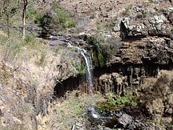 رودخانه Paddy's Falls.jpg