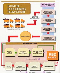 Palm Oil Flow Chart