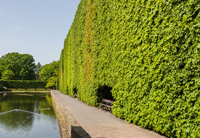 File:Parque Adam Mickiewicz, Oliwa, Gdansk, Polonia, 2013-05-21, DD 07.jpg