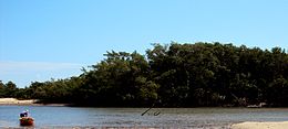 Projet Peixe-Boi Mangroves.jpg