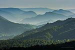 Vignette pour Sanctuaire de faune de Phu Khieo