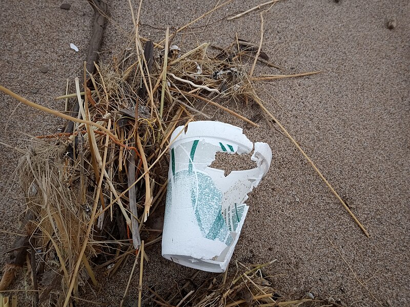 File:Physical weathering styrofoam cup Lake MIchigan.jpg