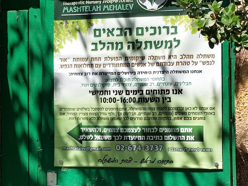 הגינה הקהילתית בירושלים