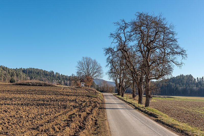 File:Poggersdorf Linsenberg Landschaft mit Birnbäumen 11012019 5935.jpg