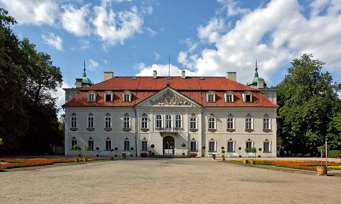 Nieborów (Łowicz)