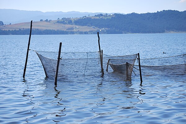 Tejocotal Dam