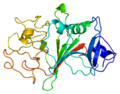 Thumbnail for Fibrinogen gamma chain