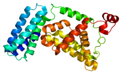 Ақуыз RABGEF1 PDB 1txu.png