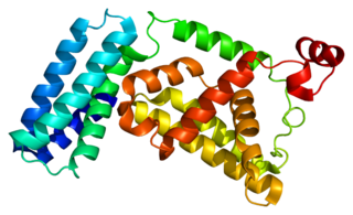 <span class="mw-page-title-main">RABGEF1</span> Protein-coding gene in the species Homo sapiens