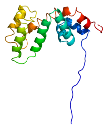 Protein RGS5 PDB 2crp.png