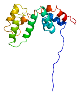 <span class="mw-page-title-main">RGS5</span> Protein-coding gene in the species Homo sapiens