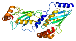 Protein UBE2D1 PDB 2c4p.png