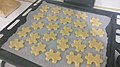Puzzle piece biscuits before cooking.jpg