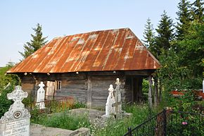 Biserica de lemn din satul Pârâu Viu (monument istoric)