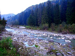 Râul Tarcău la Cazaci