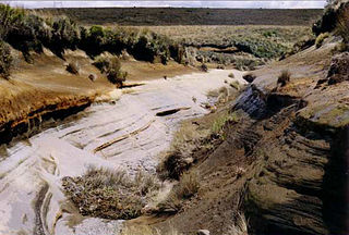 <span class="mw-page-title-main">Volcanic plateau</span> Plateau produced by volcanic activity