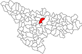 Umístění v Timiș County