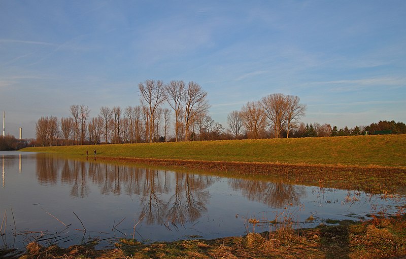 File:Rheinhochwasser Januar 2011 - K-Flittard Deich 01.jpg