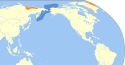 Rhodostethia rosea map.svg