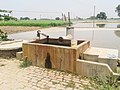 Ricky Kang di Motor, Rolu Majra, Rupnagar, Punjab, 140102, India - panoramio.jpg