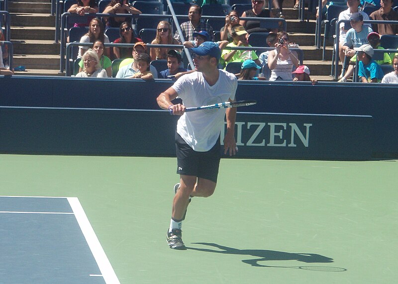 File:Roddick 2010 US Open (2).jpg