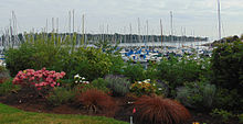 Gardens and sailboat masts. Royal-Victoria-Yach-Club-gardens-and-boats.jpg