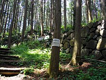 Ruins of Karasuyama Castle.JPG