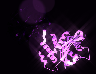 Electroneutral sodium bicarbonate exchanger 1 protein-coding gene in the species Homo sapiens