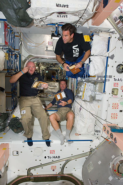 File:STS-134 Mark Kelly, Roberto Vittori and Greg Chamitoff during a break in the Unity node.jpg