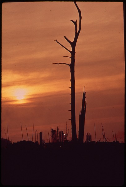 File:SUNSET AGAINST DEAD TREES. OLIN-MATHIESON PLANT IN BACKGROUND - NARA - 546113.tif