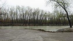 Saline Landing.jpg'deki Saline Adası