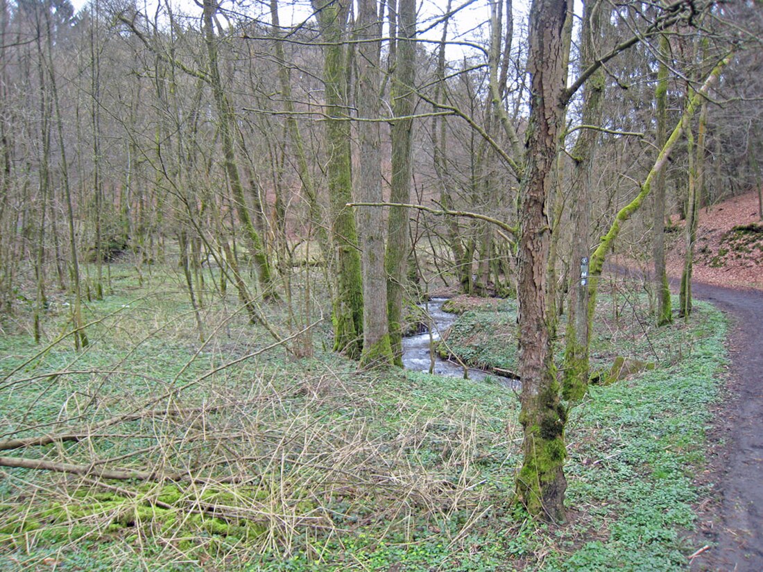 Naturschutzgebiet Scherfbachtal (Kürten)