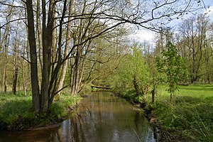 Schleswig-Holstein, Großenaspe, Osterau NIK 6272.jpg