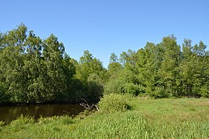 Schleswig-Holstein, Tellingstedt, Landschaftsschutzgebiet Großes Moor Kätner Moor NIK 7101.jpg