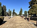 Lake View Cemetery