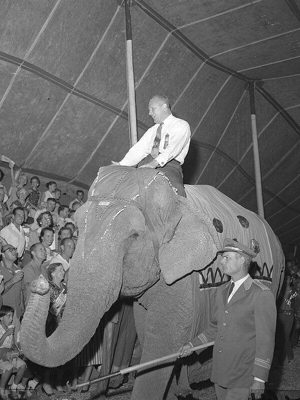 Knowland atop an elephant at a circus in Orange County, California, during his unsuccessful run for California Governor in 1958