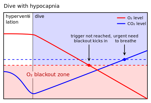 File:Shallow water blackout diagram 2 revised.svg