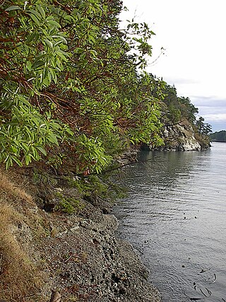 <span class="mw-page-title-main">Collinson Point Provincial Park</span> Provincial park in British Columbia, Canada